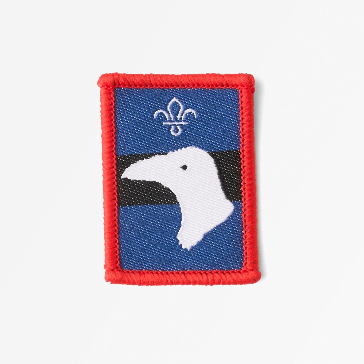 Patrol Badge Raven -