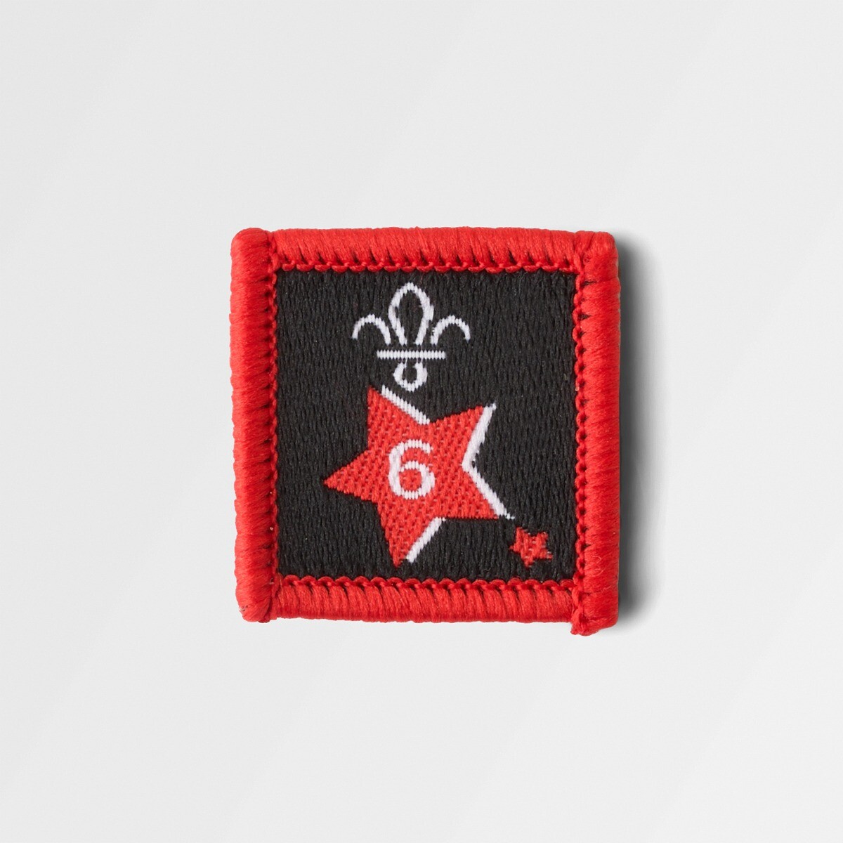 Joining in Award Badge 6 -