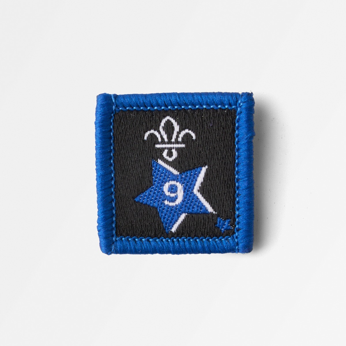 Joining in Award Badge 9 -