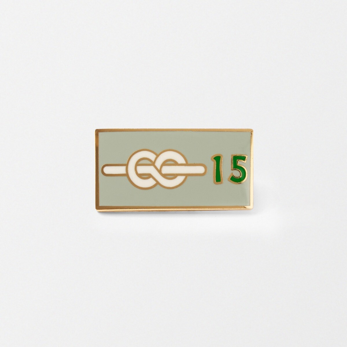 15 Yrs Chief Scout's  Service Award Pin Badge -