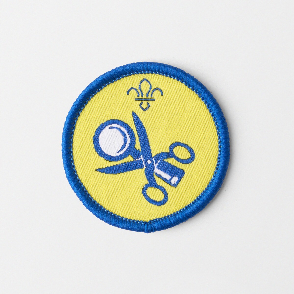 Beaver Scout Collector Activity Badge -