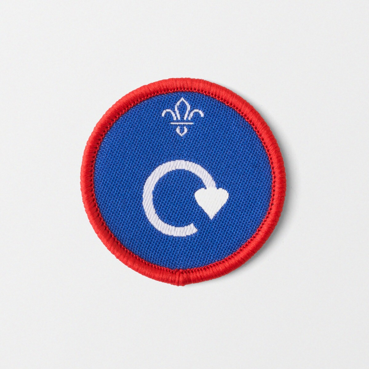 Scout Environmental Conservation Activity Badge -