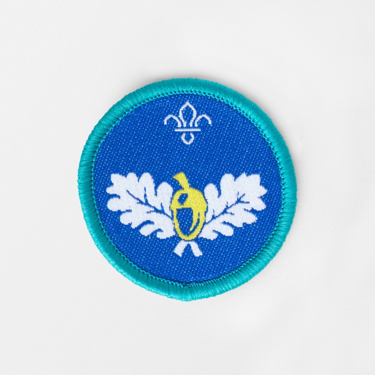 Explorer Scouts Naturalist Activity Badge