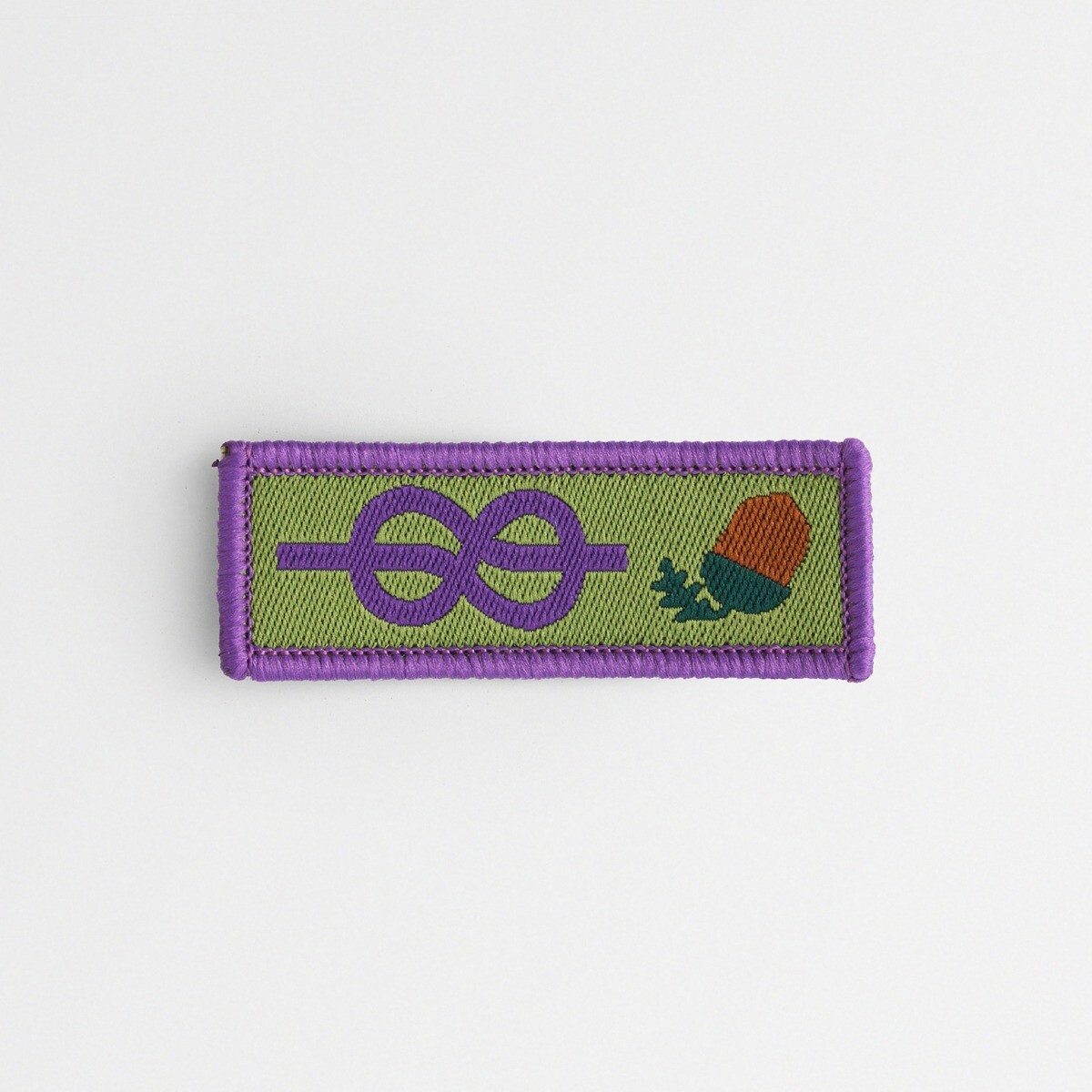 Young Leaders Scheme Adult Recognition Award Badge -