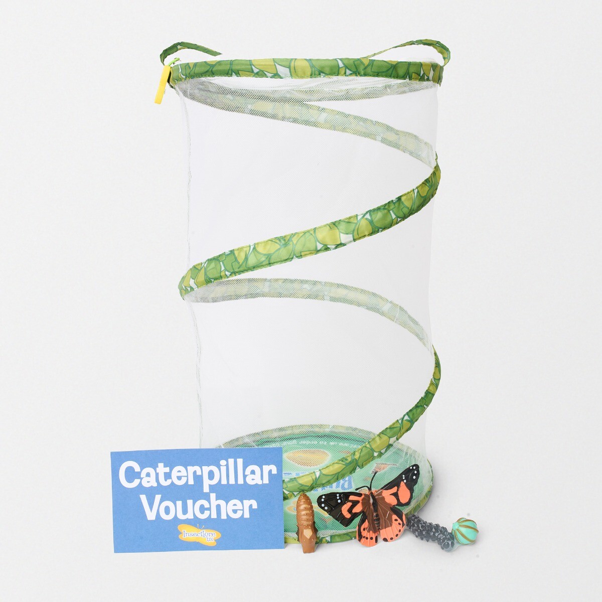 Insect Lore Giant Butterfly Garden Raise your own Butterflies