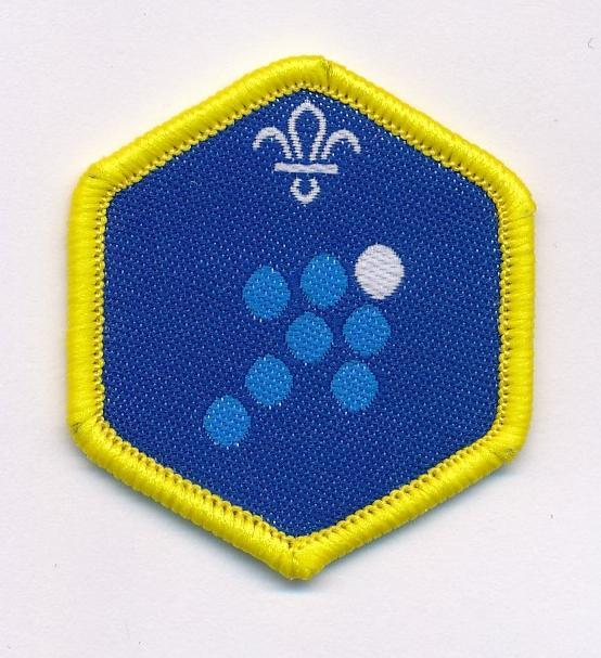 Cub Scout Team Leader Challenge Award Badge