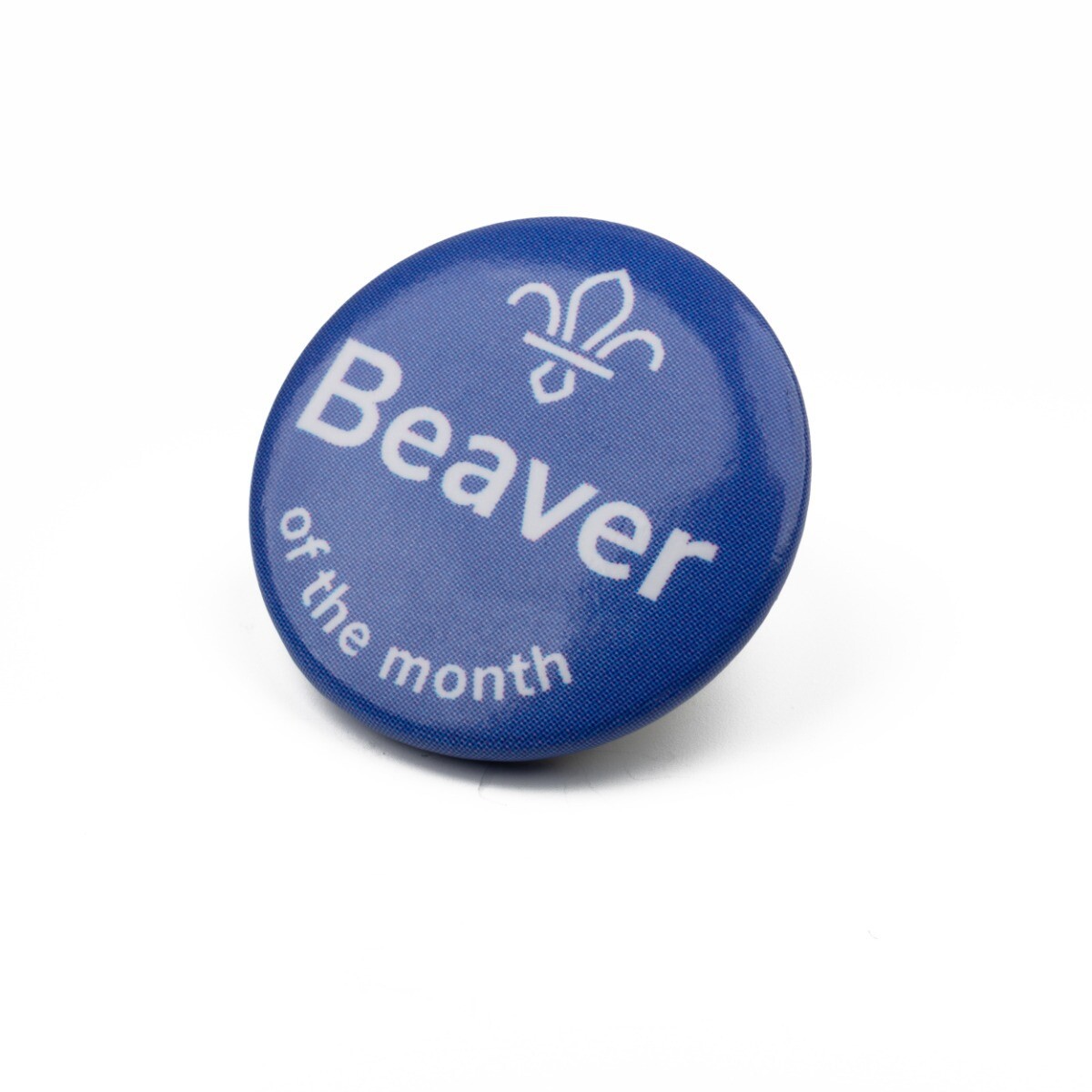 Beaver Of The Month Pin Badge