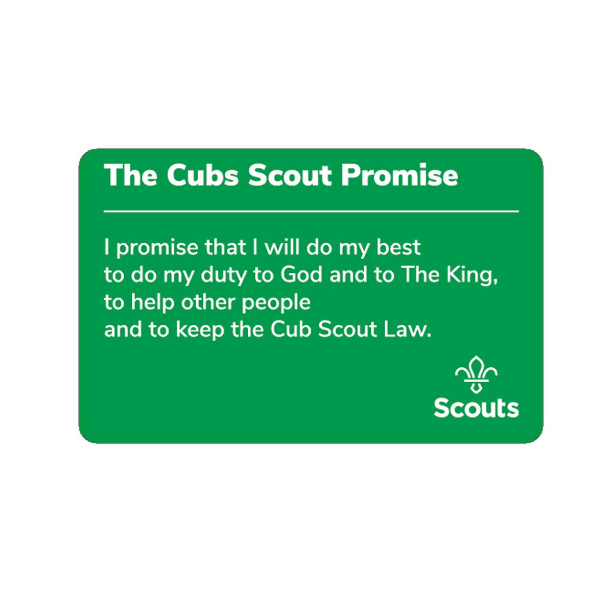 Cub Scouts Promise Card - Generic