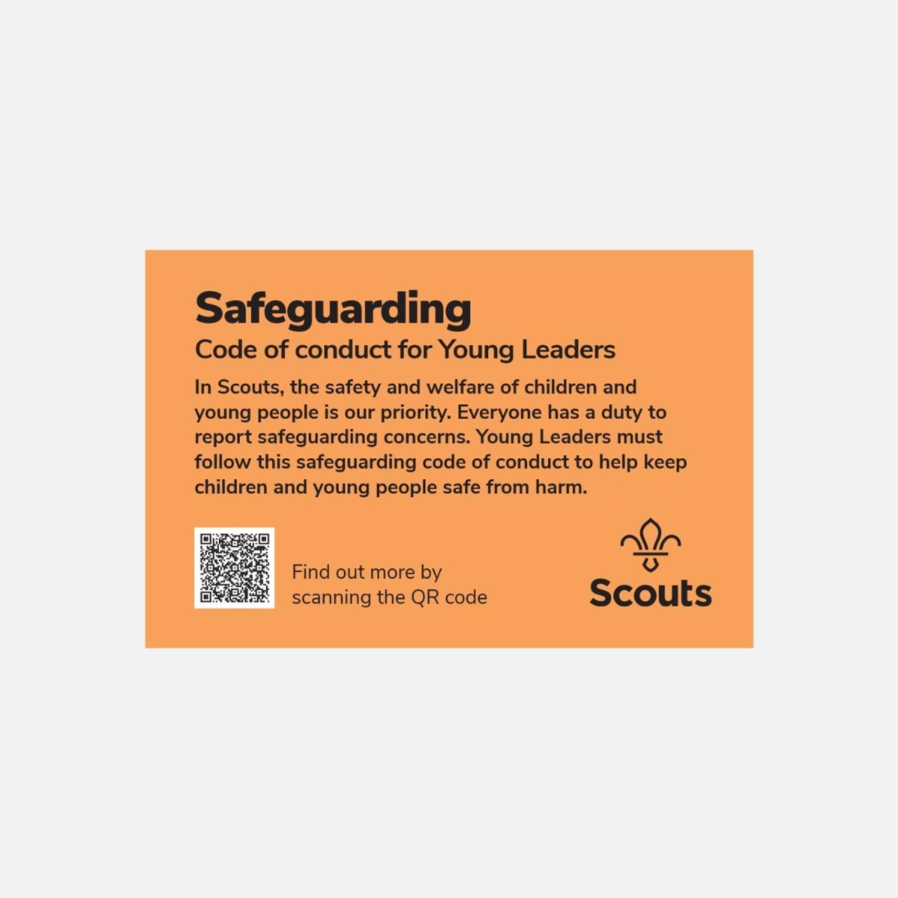 Scouts - Safeguarding Code of Conduct for Young Leaders (Orange Card)