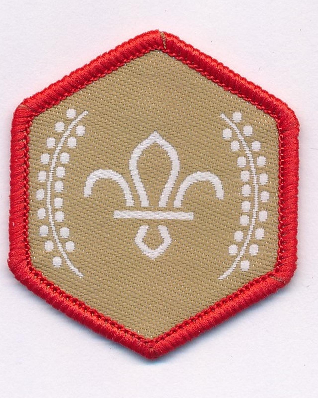 Scouts World Challenge Award Badge Volunteer Leaders