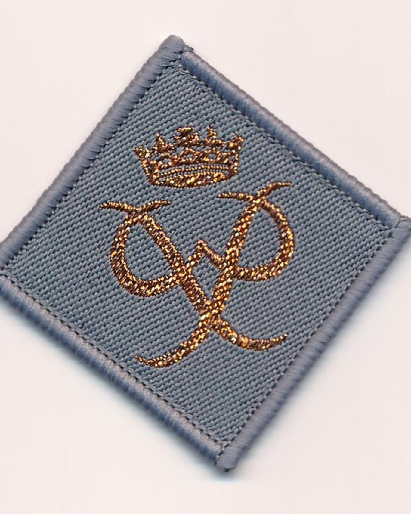 Young Leaders Scheme Adult Recognition Award Badge Volunteer Leaders