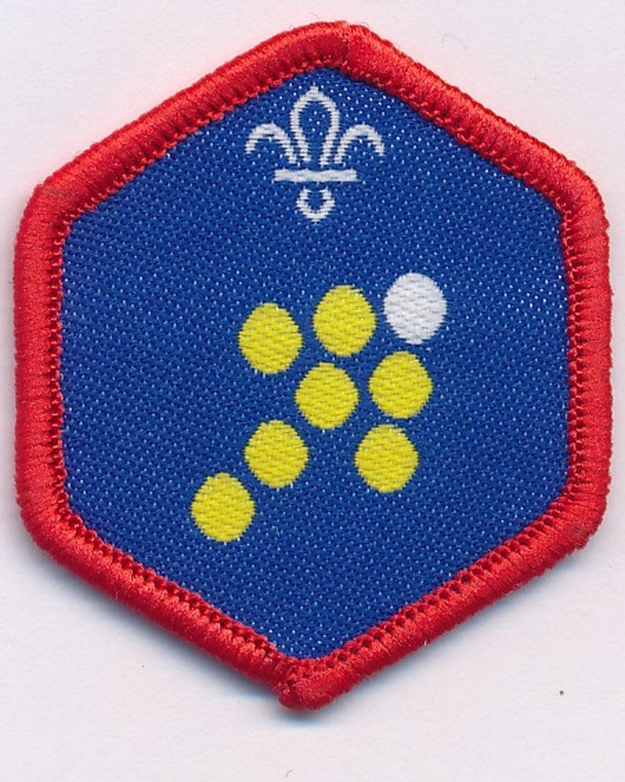 You Shape Beaver Scout Badge Volunteer Leaders