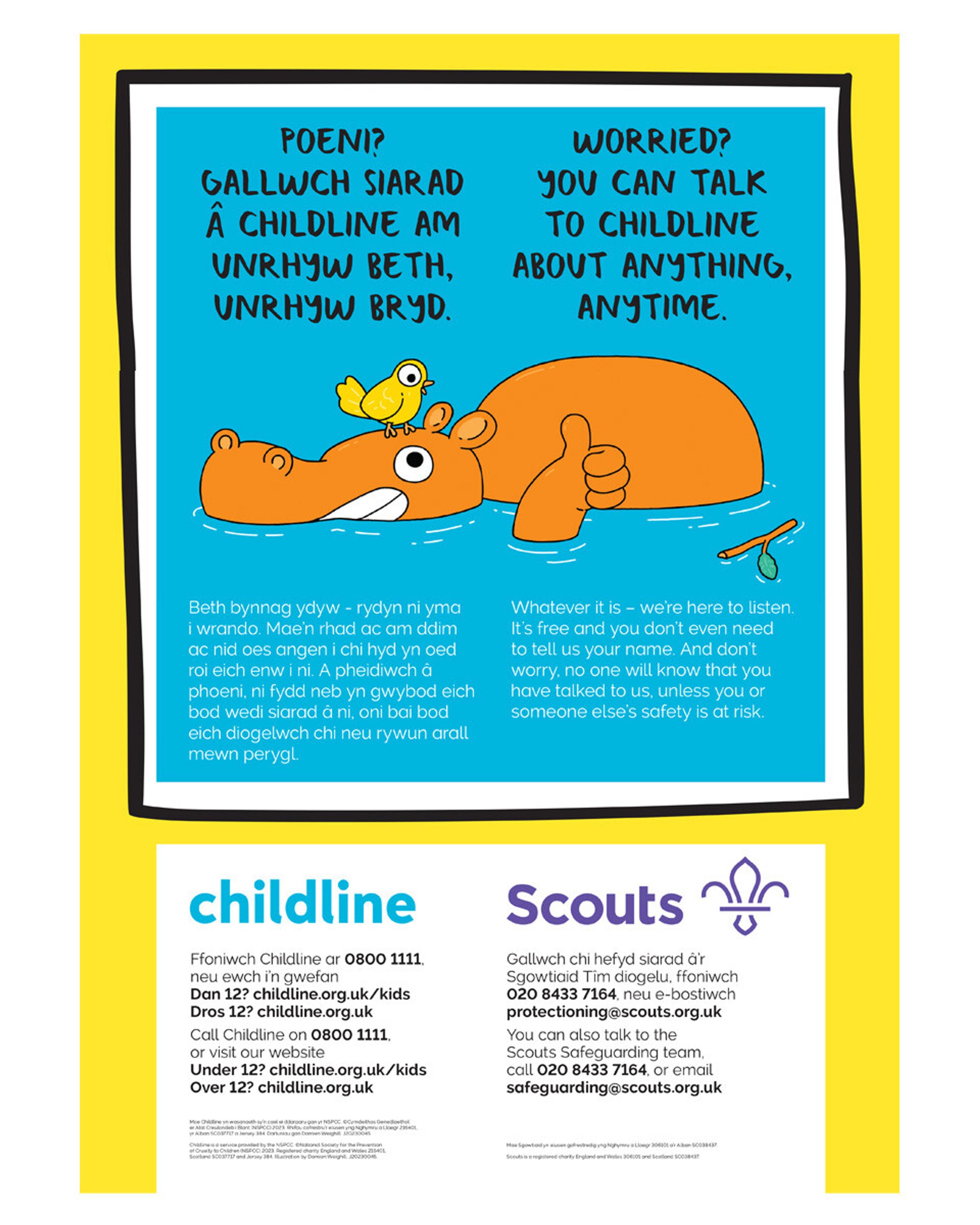 Scouts Yellow Card - Safeguarding Code of Conduct for Adults Scouts ...