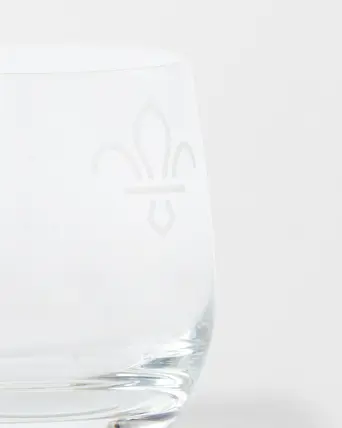 Fleur de Lis Pair of Tumbler Glasses