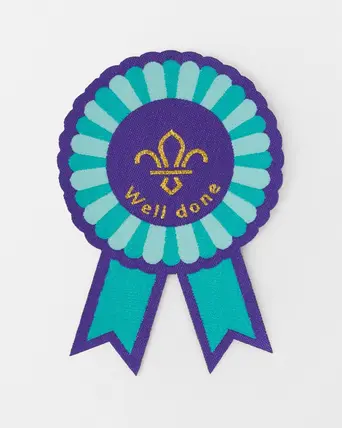 Well Done Blanket Badge