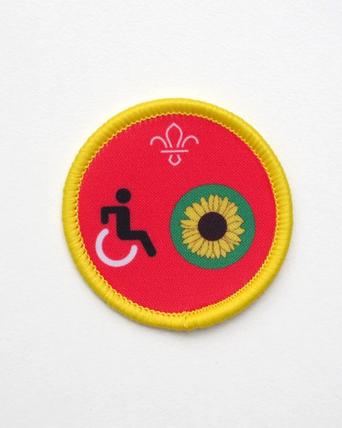Cub Scout Merit Badge Worksheets Personal Management Merit Badge