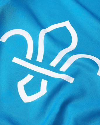 Air Scouts Personalised Printed Flag / Banner