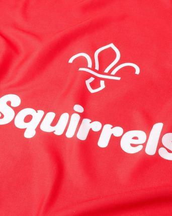 Squirrel Scouts Personalised Printed Flag / Banner