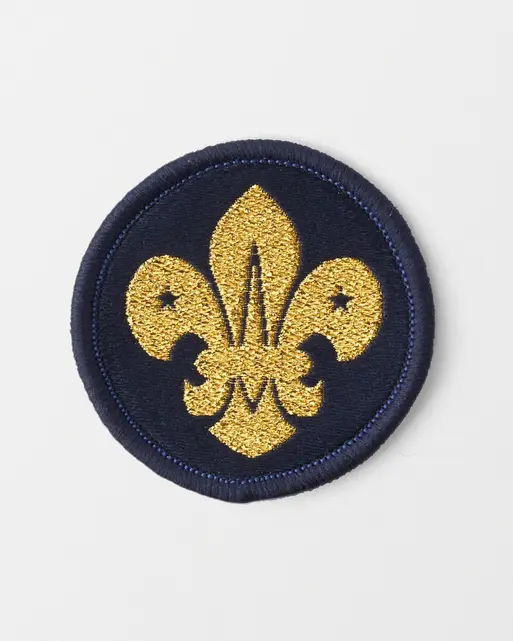 Air Scout Beret Cloth Badge