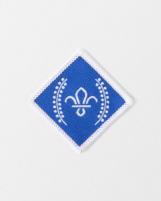 Chief Scouts Diamond Award Badge