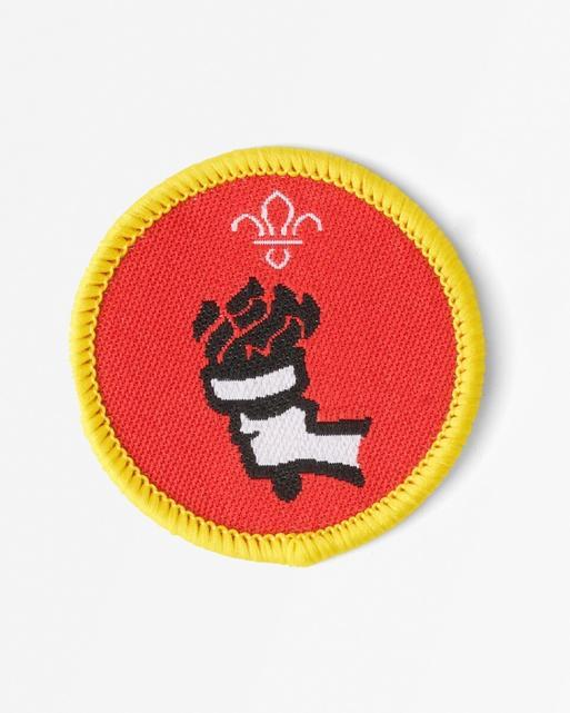Cubs Sports Enthusiast Activity Badge