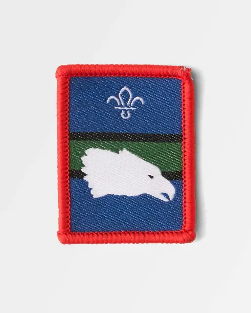 Patrol Badge Eagle