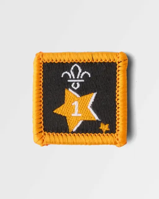 Joining in Award Badge 1