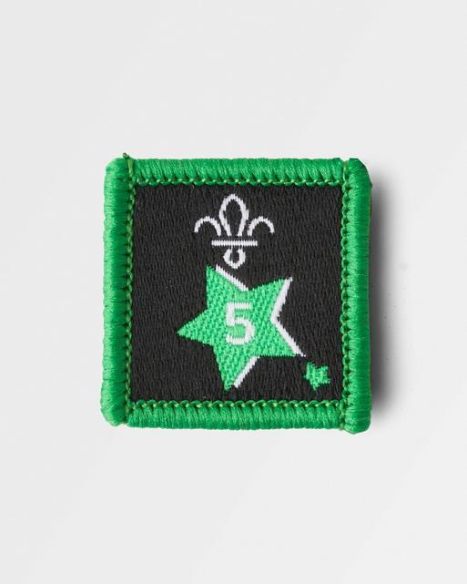Joining in Award Badge 5