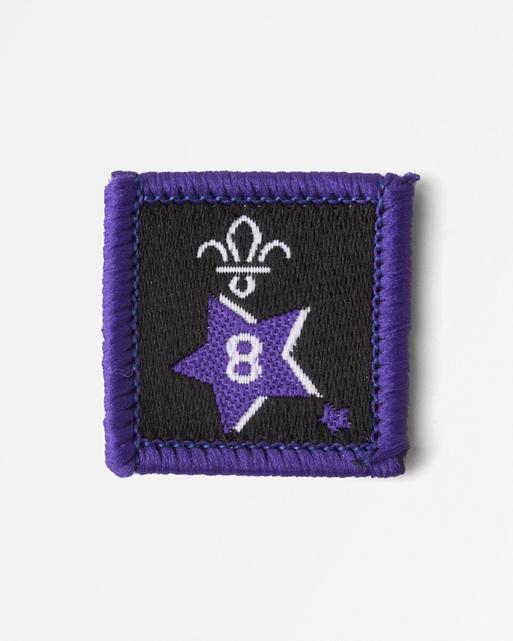 Joining in Award Badge 8