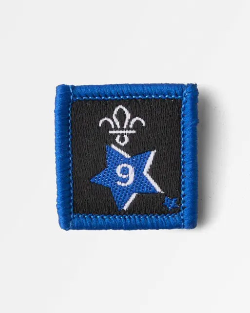 Joining in Award Badge 9