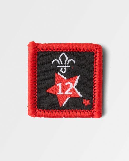 Joining in Award Badge 12