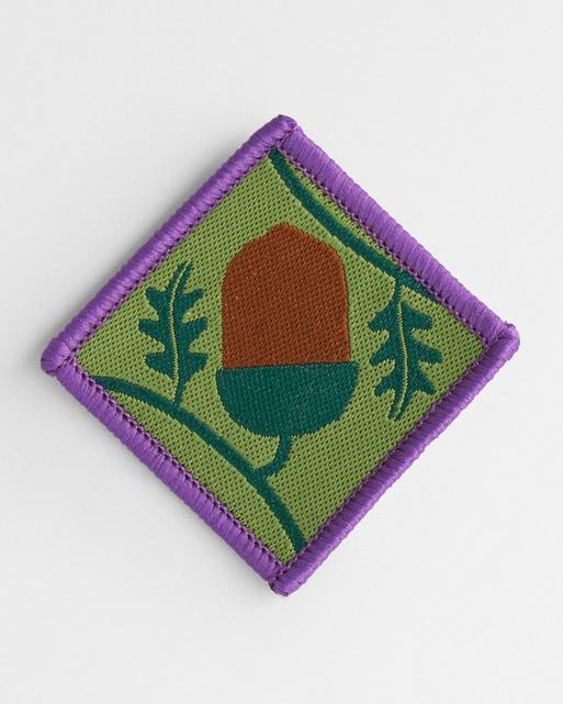 Young Leaders Scheme Module A Badge