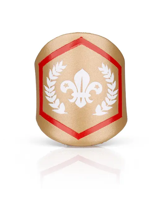 Chief Scout's Gold Award Woggle