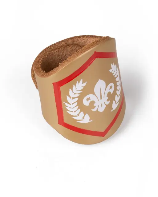 Chief Scout's Gold Award Woggle