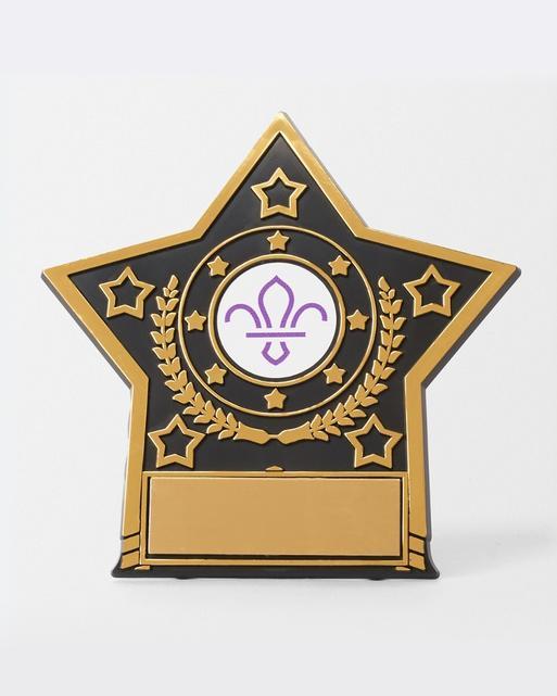 Star Trophy with Fleur de Lis Scouts Logo 10cm