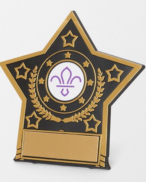 Star Trophy with Fleur de Lis Scouts Logo 10cm