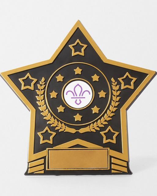 Star Trophy with Fleur de Lis Scouts Logo 14cm