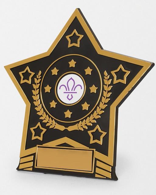 Star Trophy with Fleur de Lis Scouts Logo 14cm