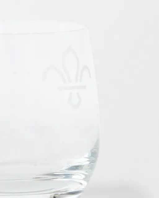 Fleur de Lis Pair of Tumbler Glasses