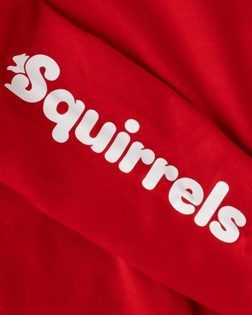 Squirrels Kids Hoodie