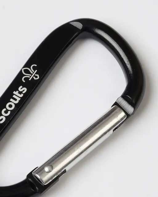 Scouts Fleur de Lis Carabiner Keyring