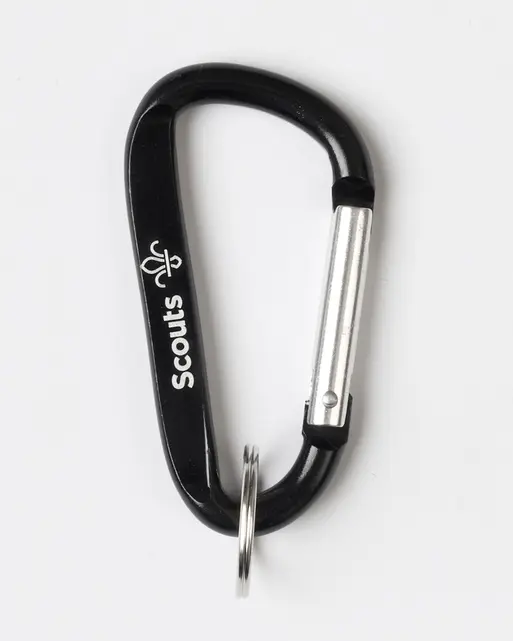 Scouts Fleur de Lis Carabiner Keyring