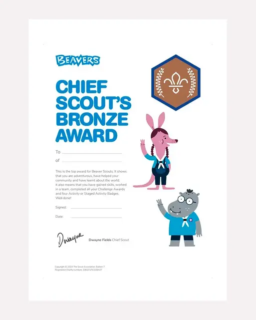 Chief Scout's Bronze Award Certificate - Pack of 10