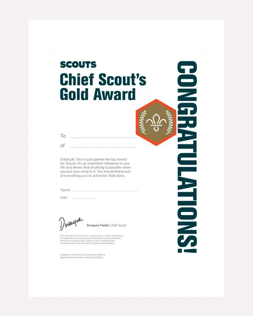Chief Scout's Gold Award Certificate - Pack of 10