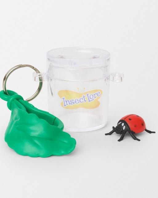 Insect Lore Giant Butterfly Garden Raise your own Butterflies