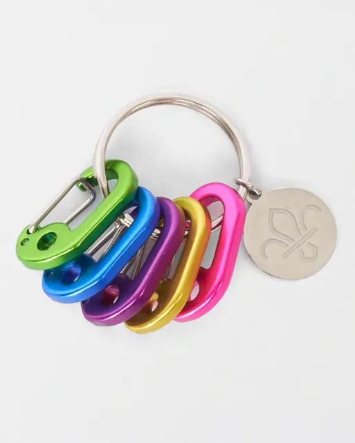 FDL Mini Karabiner Keyring