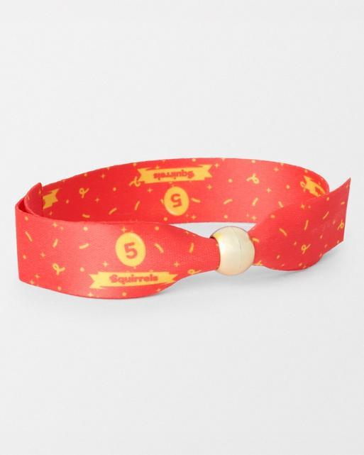 Squirrels 5th Birthday Celebration Wristband - Pack of 10