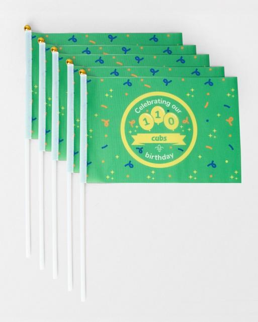 Cubs 110th Birthday Mini Flags 5 Pack