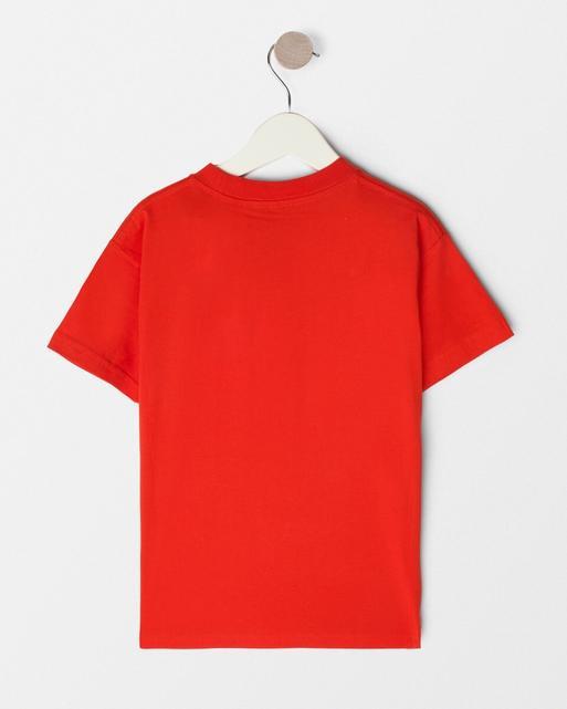 Squirrels 5th Birthday Celebration T-Shirt - Kids