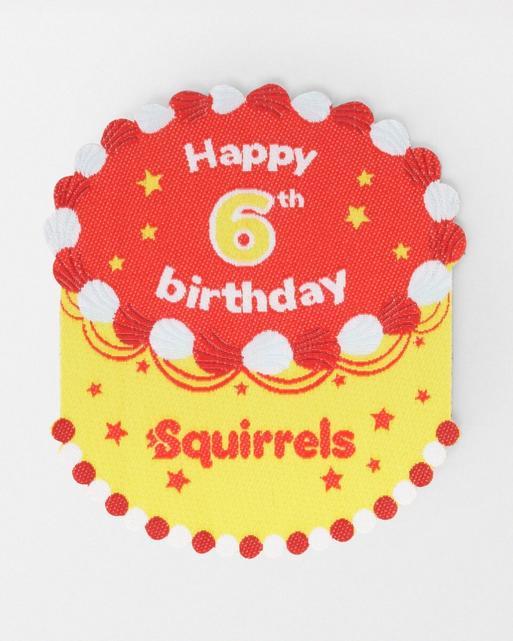 Happy 6th Birthday Blanket Badge 